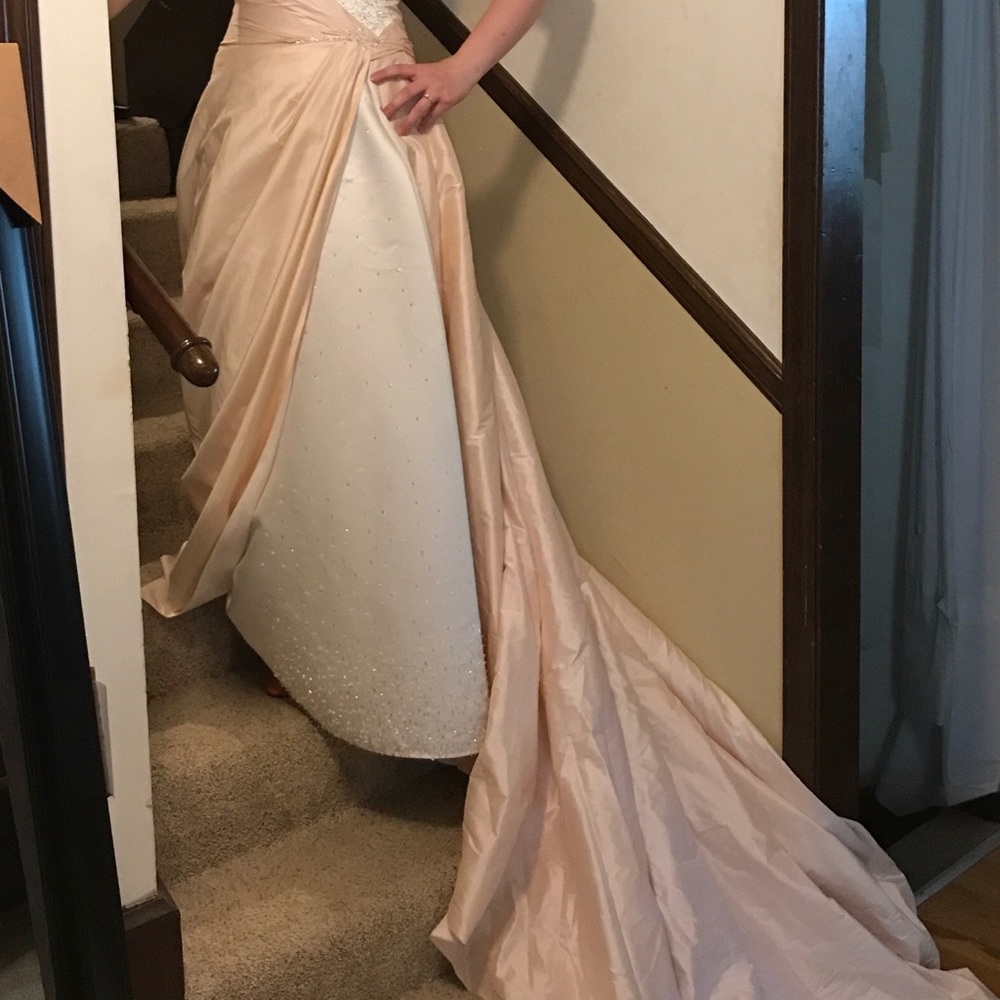 Blush and White Wedding/Prom Dress - Picture 2 of 5